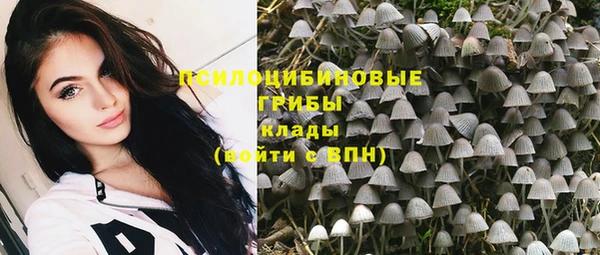 Альфа ПВП Кукмор