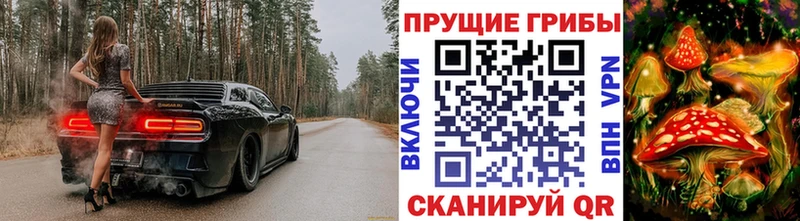 Купить где  Заринск  Галлюциногенные грибы Psilocybe 