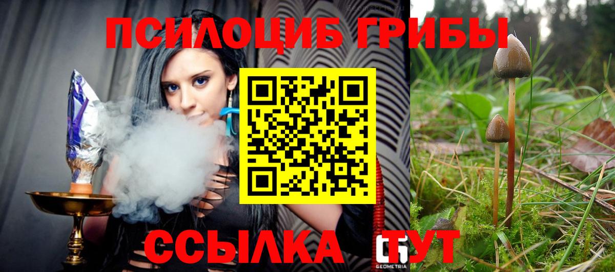 дарнет шоп  Галлюциногенные грибы Cubensis  Вход с VPN  Заринск 