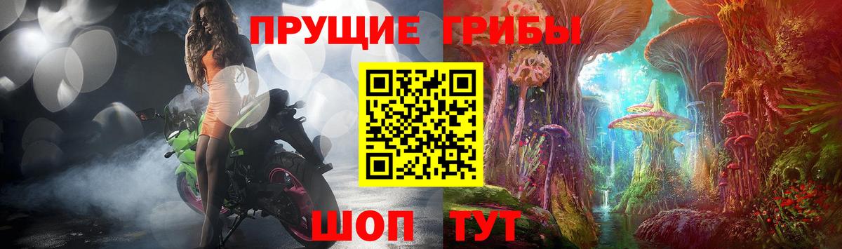 Псилоцибиновые грибы Magic Shrooms  Заринск 