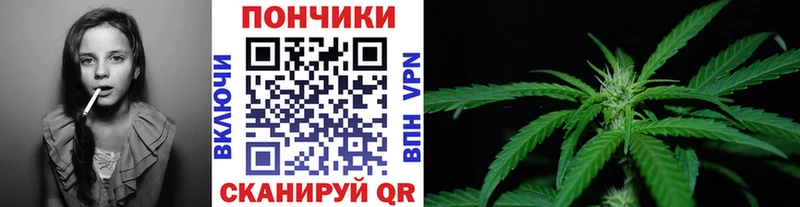 Бошки марихуана VHQ  Купить закладки  Заринск 